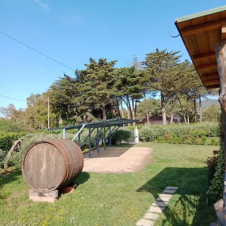 Casaflo Apartman
